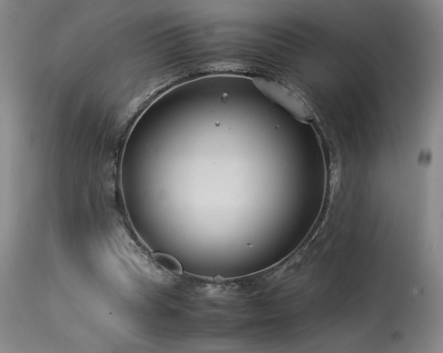 X0000114010345200910021348