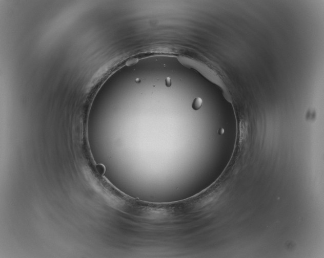 X0000114010349200910021348