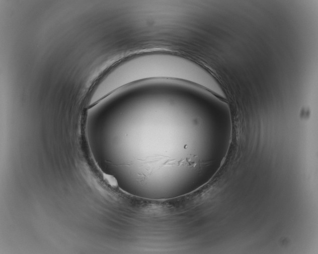 X0000114010350200910021348