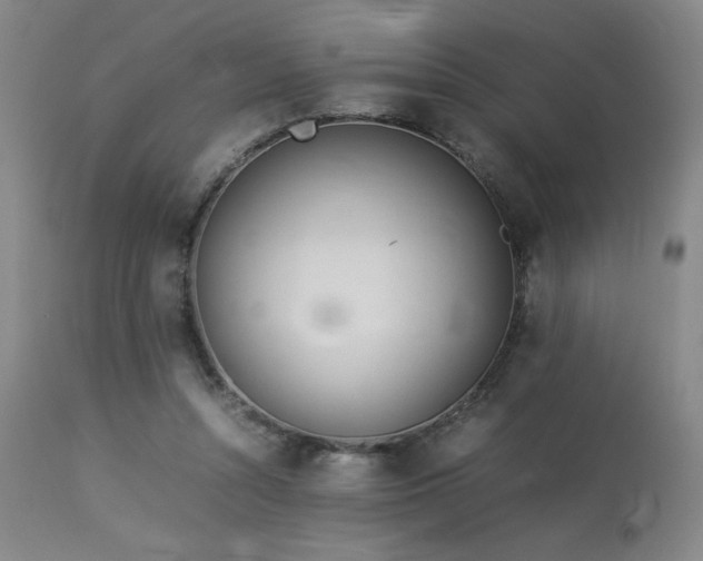 X0000114010352200910021348
