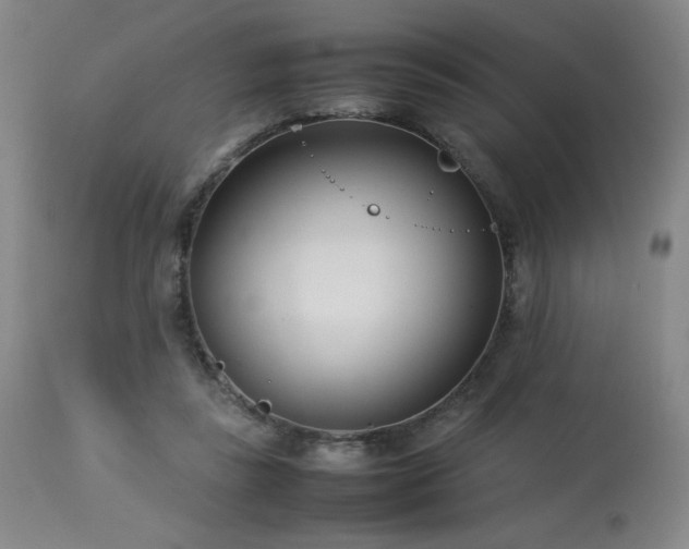 X0000114010355200910021348