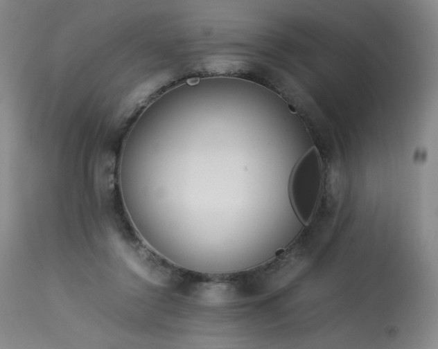 X0000114010356200910021348