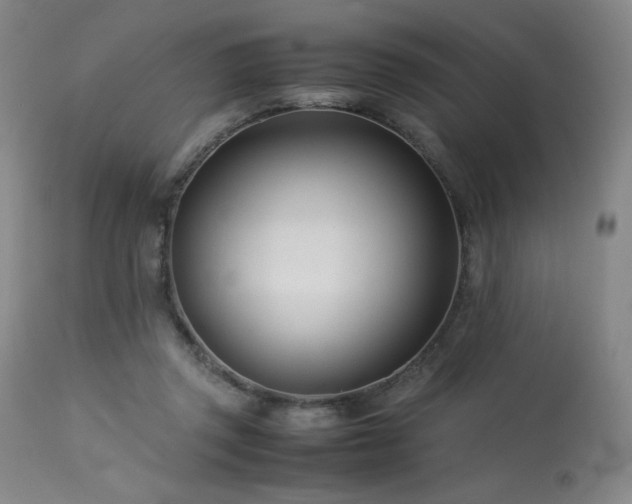 X0000114010357200910021348