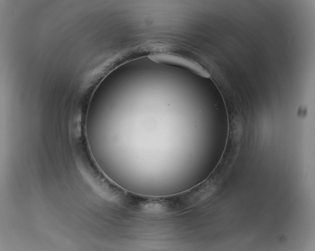 X0000114010358200910021348