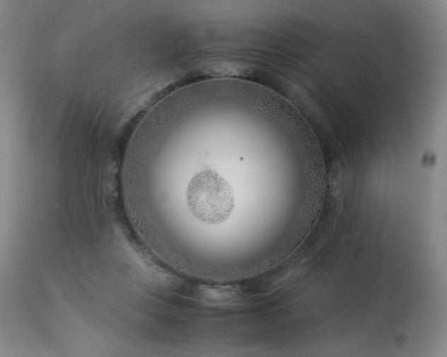 X0000114010359200910021348
