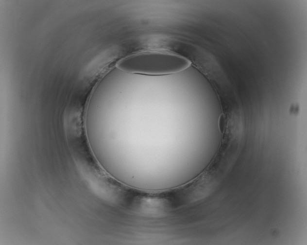 X0000114010360200910021348