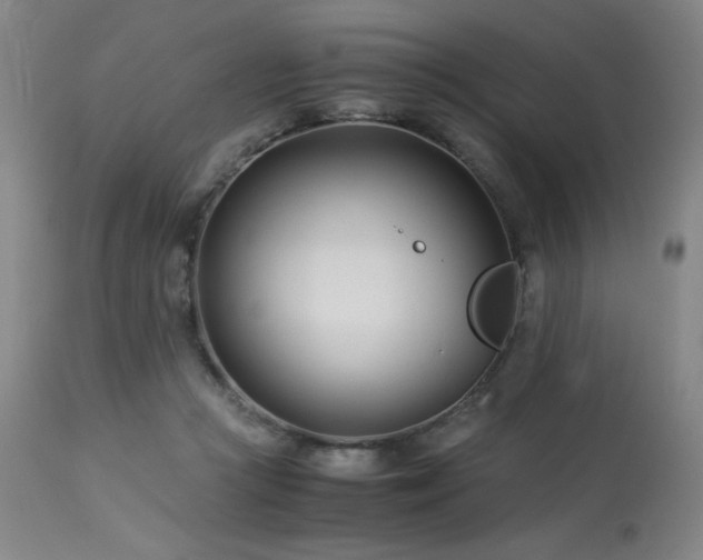 X0000114010361200910021348