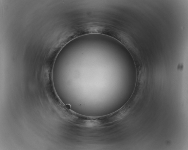 X0000114010363200910021348