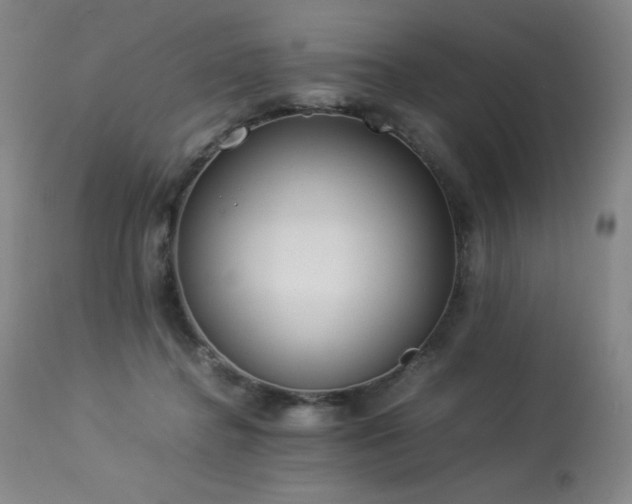 X0000114010364200910021348