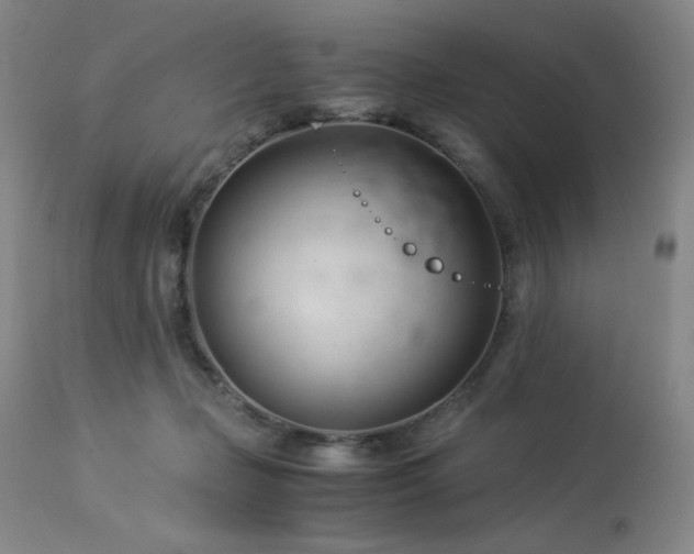 X0000114010365200910021348