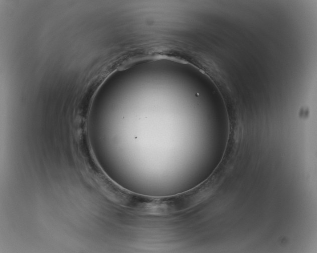 X0000114010366200910021348
