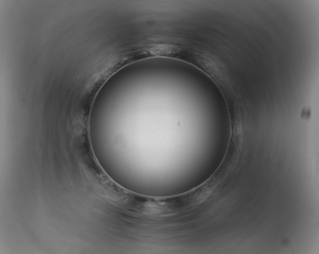 X0000114010367200910021348