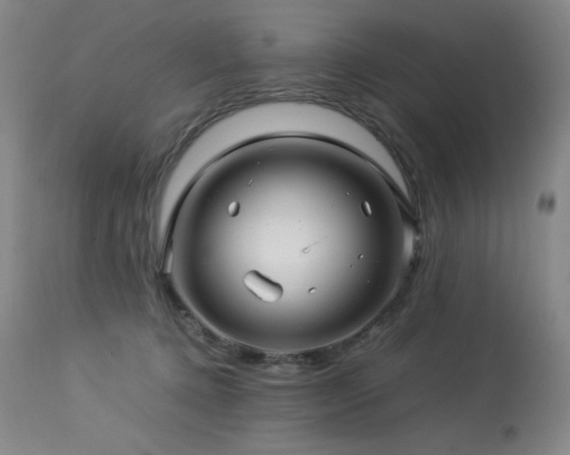 X0000114010368200910021348
