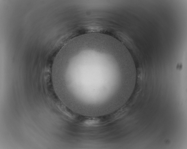 X0000114010369200910021348