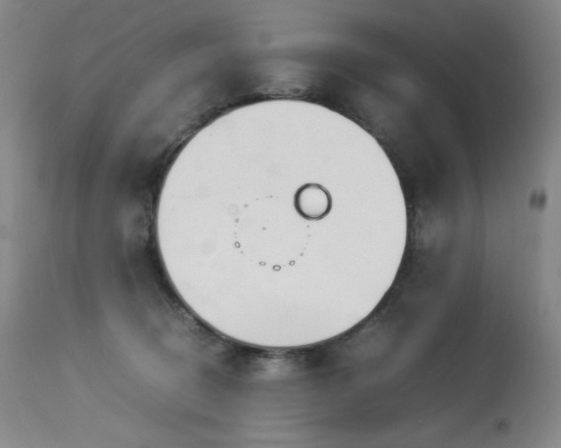 X0000114010370200910021348