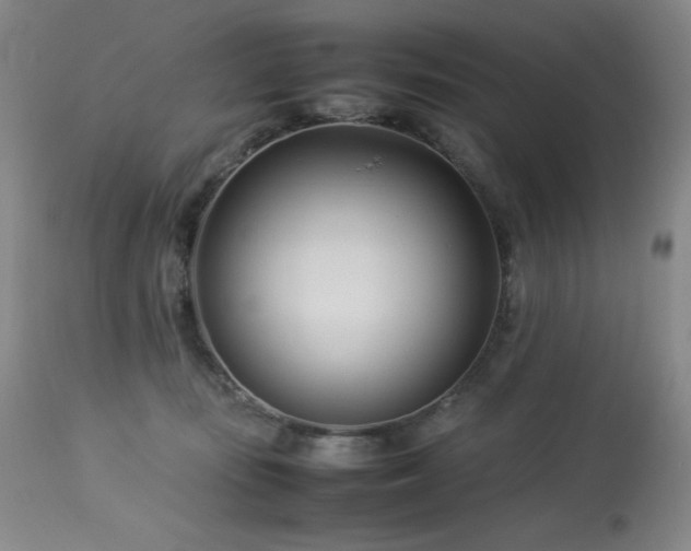 X0000114010371200910021348