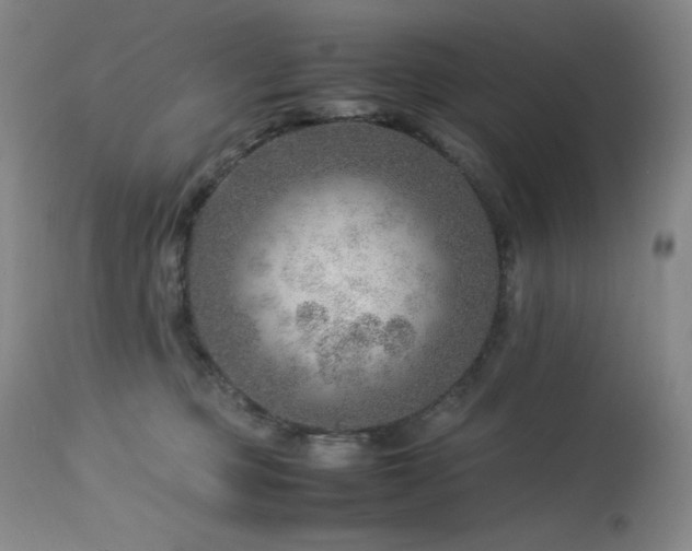 X0000114010373200910021348