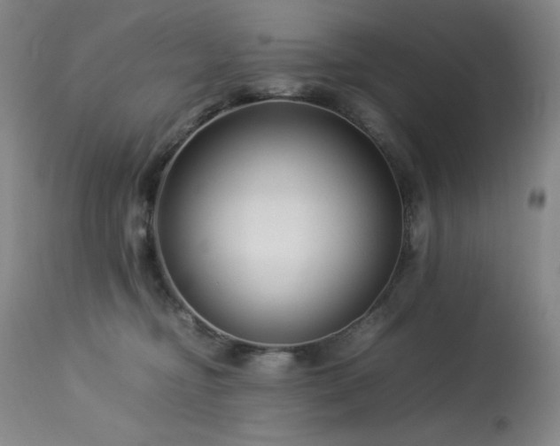 X0000114010374200910021348