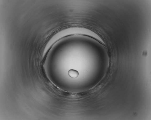 X0000114010376200910021348