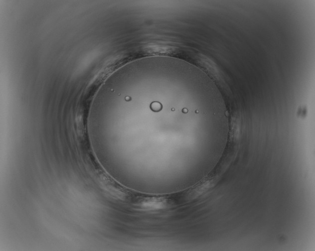 X0000114010377200910021348
