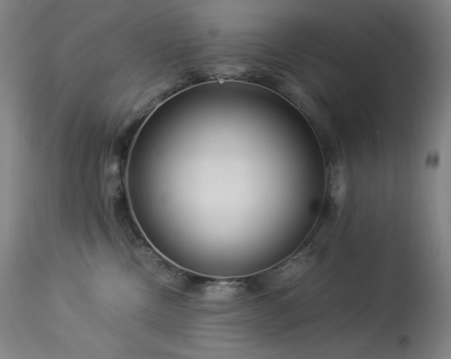 X0000114010378200910021348