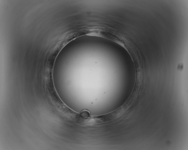 X0000114010379200910021348