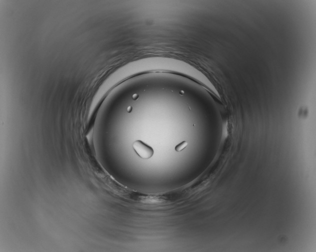 X0000114010380200910021348