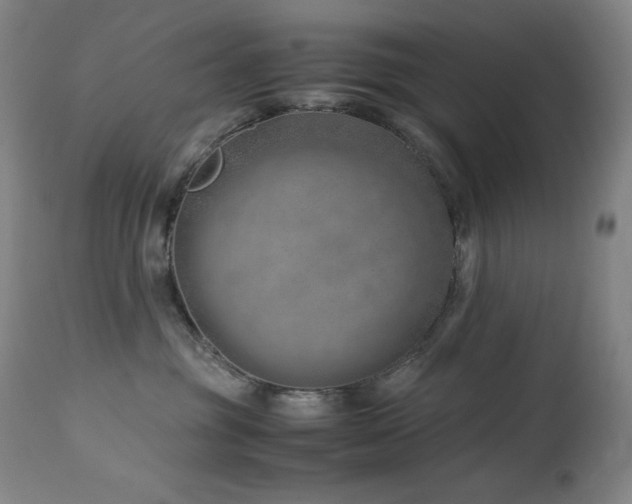 X0000114010381200910021348