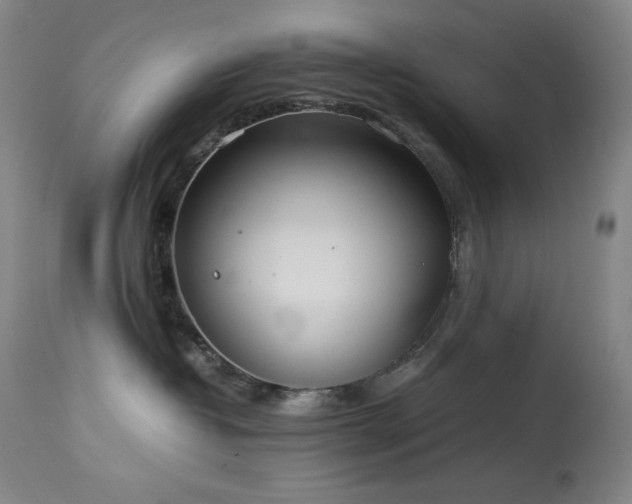 X0000114010382200910021348