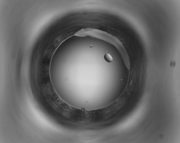 X0000114010383200910021349