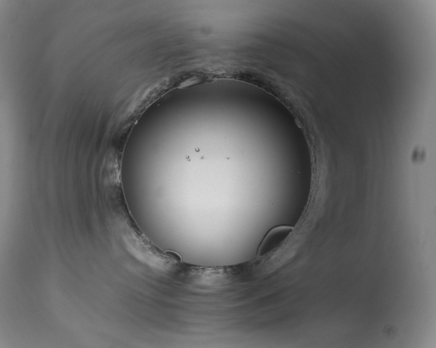 X0000114010384200910021349