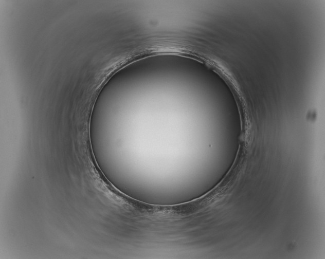 X0000114010385200910021348