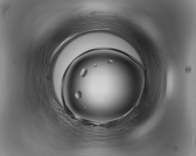 X0000114010387200910021348