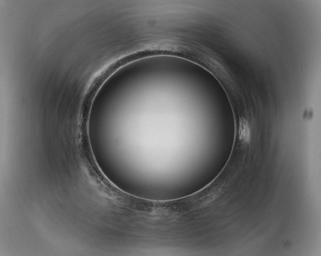 X0000114010388200910021348