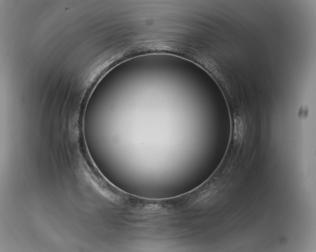 X0000114010390200910021348