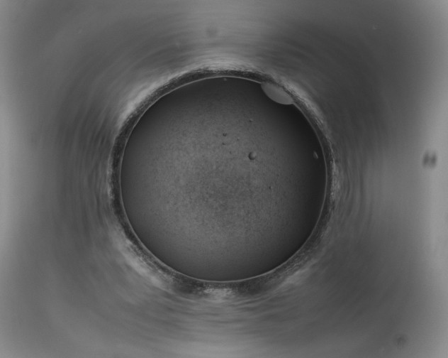 X0000114010391200910021348