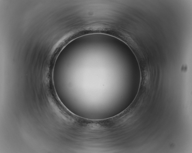 X0000114010392200910021348