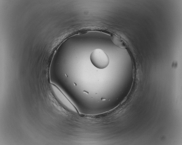 X0000114010393200910021348