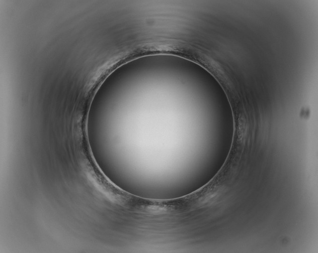 X0000114010394200910021348