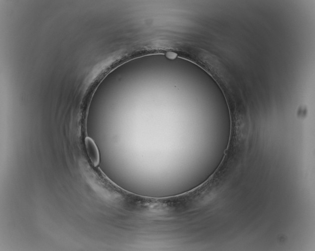 X0000114010395200910021347