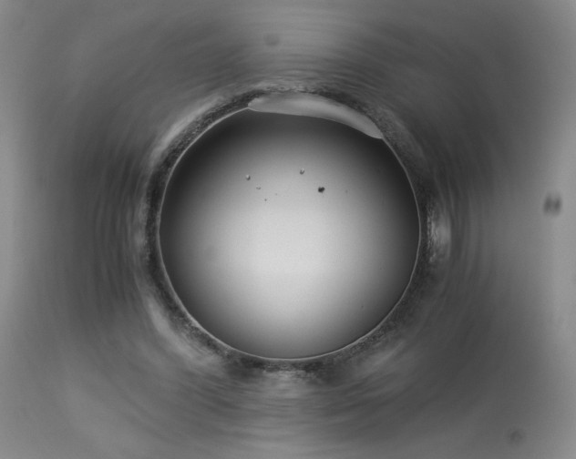 X0000114010396200910021347