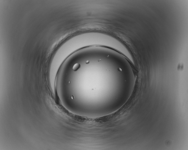 X0000114010399200910021347