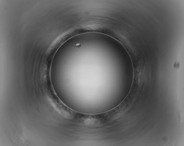 X0000114010400200910021347