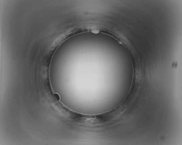 X0000114010401200910021347