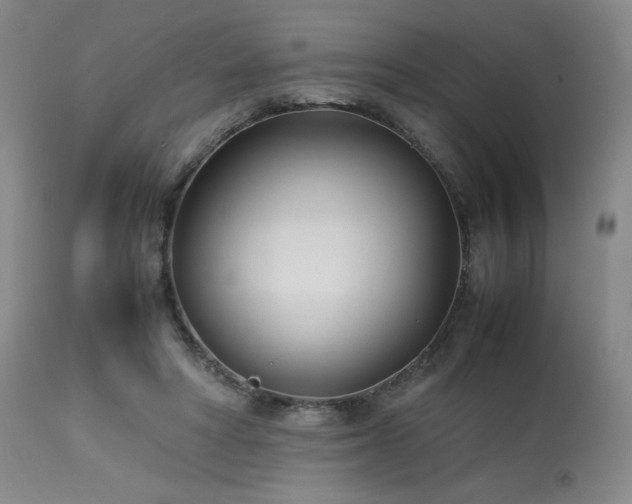 X0000114010402200910021347