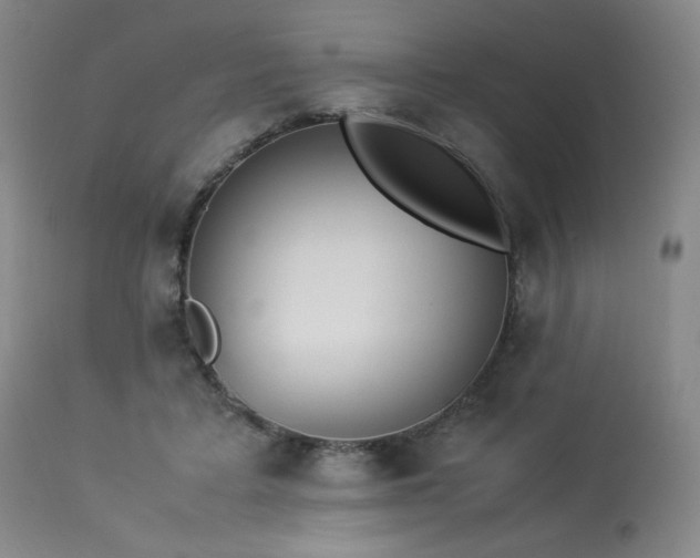 X0000114010403200910021347
