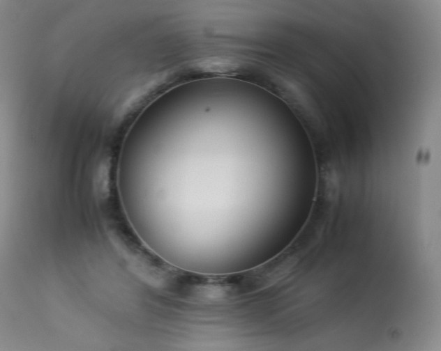 X0000114010404200910021347