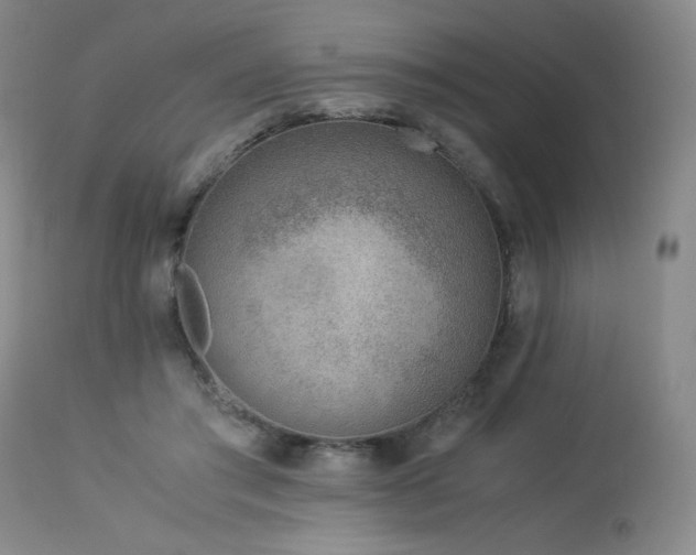 X0000114010405200910021347