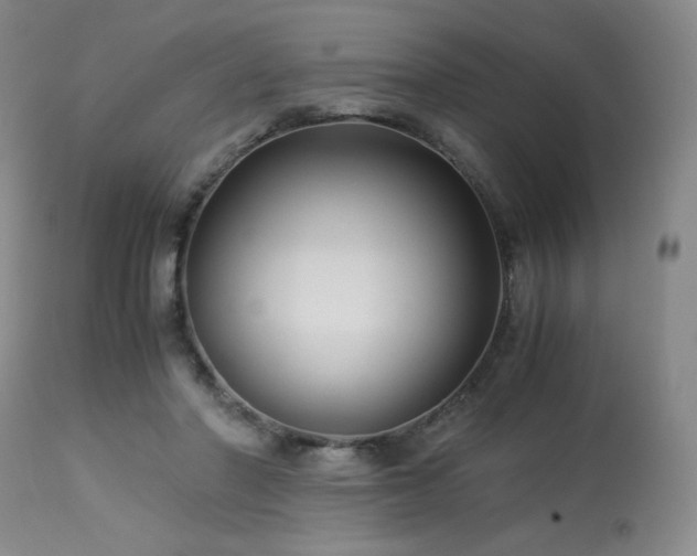 X0000114010406200910021347