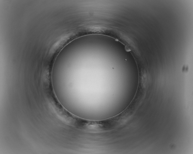 X0000114010407200910021347